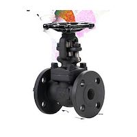 واردکننده شیر کشویی کلاس 800 FS21